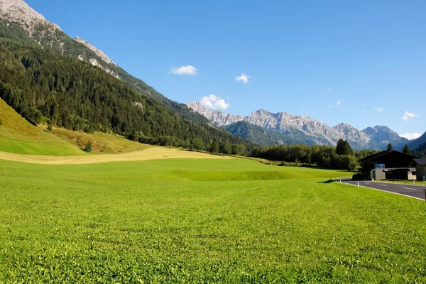 Paysage rural alpin — Photo