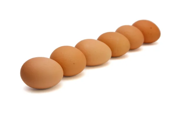 Row of six brown eggs isolated — Stock Photo, Image