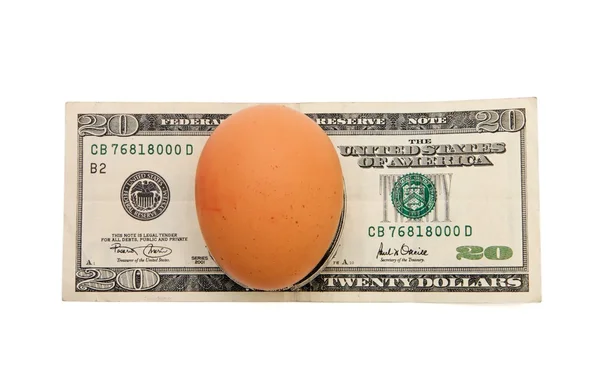 Huevo marrón en billete de veinte dólares aislado — Foto de Stock