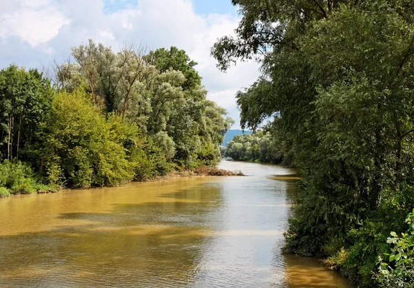 Dunaj kanál mezi zalesněnými břehy — Stock fotografie