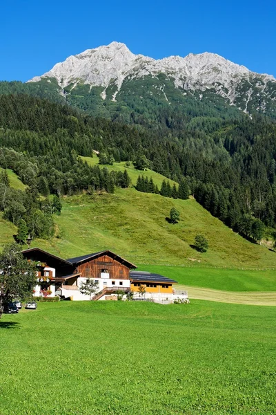 Alpine chalets, meadows and mountains — Stock Photo, Image