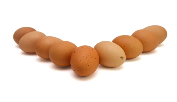 Coin de neuf œufs bruns isolés — Photo