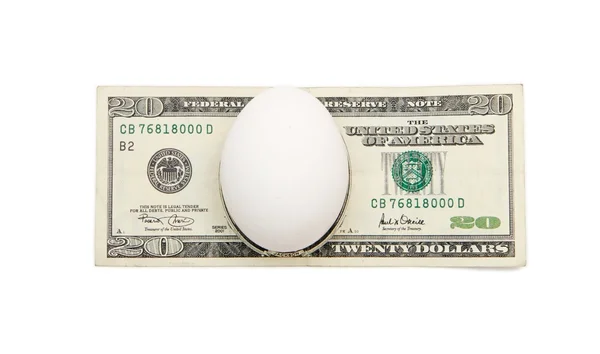 Izole yirmi dolar banknotunun üzerinde beyaz yumurta — Stok fotoğraf