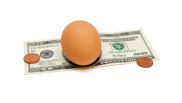 Braunes Ei auf Zwanzig-Dollar-Schein isoliert — Stockfoto