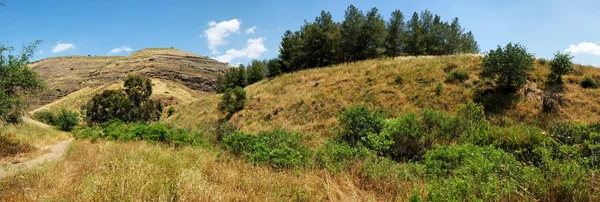 Doğal sarı tepeler yeşil alan ile — Stok fotoğraf