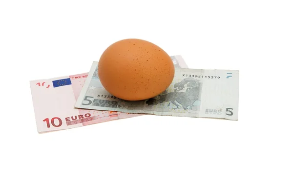Huevo marrón en billetes pequeños en euros — Foto de Stock