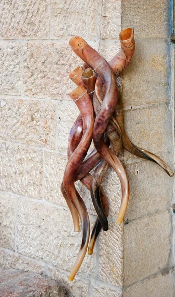 Grono shofars, lub żydowskiej rogi — Zdjęcie stockowe