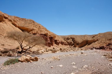 Desert landscape in Red Canyon in Israel clipart