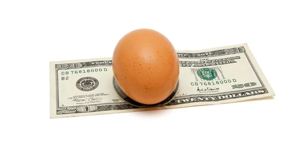 Brown egg on twenty dollar bill isolated — стокове фото