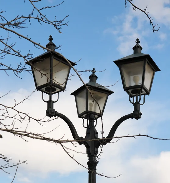 Lanterne de rue rétro et branches d'arbres — Photo