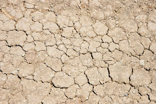 Gebarsten grond in droogte — Stockfoto