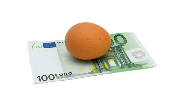 Huevo marrón en billete de cien euros aislado — Foto de Stock