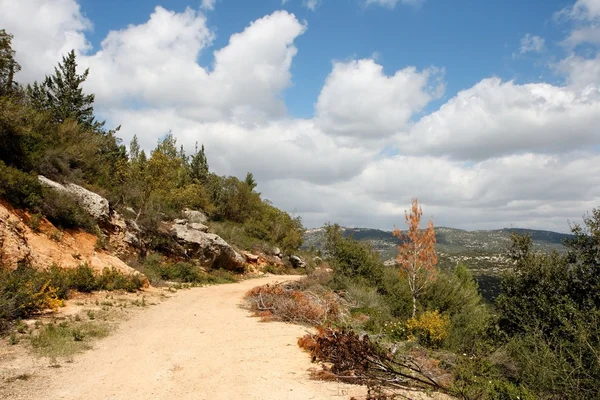 Curva do caminho panorâmico entre colinas arborizadas — Fotografia de Stock
