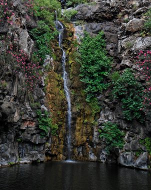 Waterfall on black basalt rocks clipart