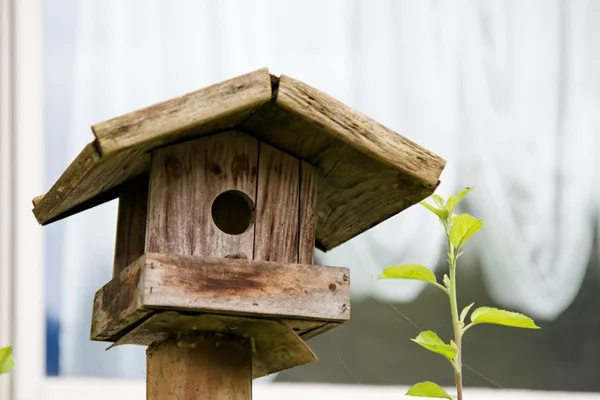 stock image Starling house