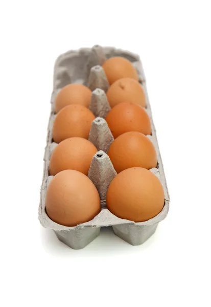 Kilenc barna tojás, papír dobozban — Stock Fotó