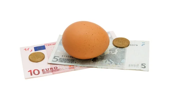 Huevo marrón en dinero en euros pequeños — Foto de Stock