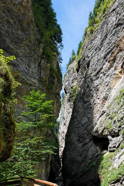 Narrow Liechtenstein canyon in Alps — Stock Photo, Image