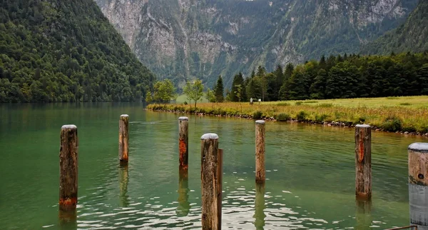 Green lake with wooden mooring posts — Stock Photo, Image
