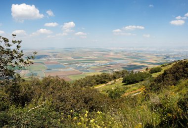 Panoramic view on patchwork of fields clipart