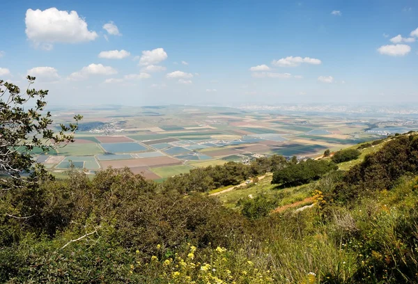 Vue panoramique sur patchwork de champs — Photo