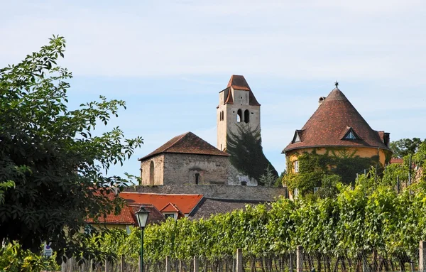 Middeleeuwse abdij onder wijngaarden — Stockfoto