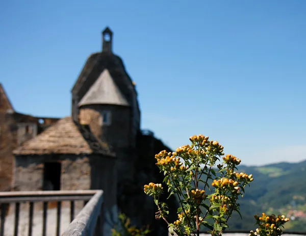 屋顶和中世纪城堡塔 — 图库照片