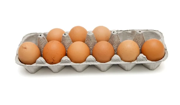 Kilenc barna tojás, papír dobozban — Stock Fotó