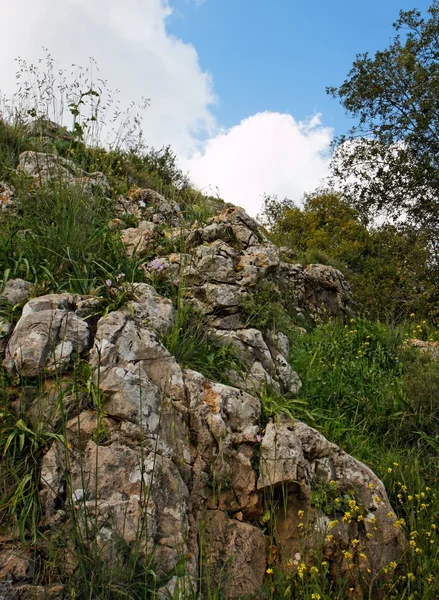 曇りの日に岩が多い丘斜面 — ストック写真