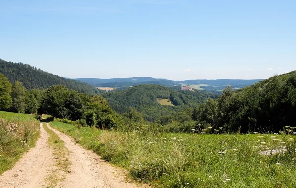 Деревенская дорога среди зеленых холмов — стоковое фото