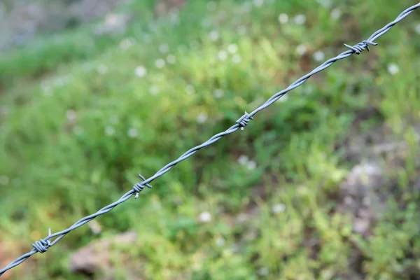 stock image Single strand of barbed wire