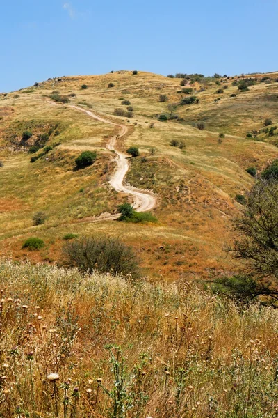 Деревенская дорога в осенних холмах — стоковое фото