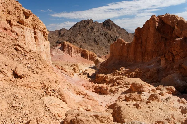 Ущелье в скалистой пустыне — стоковое фото