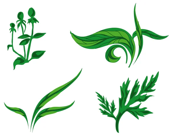 Kinds of plants — Stock Vector