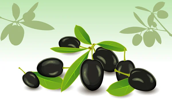 stock vector Olives, vector