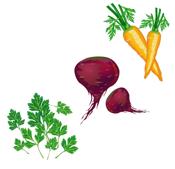Gemüsebeispiel — Stockvektor