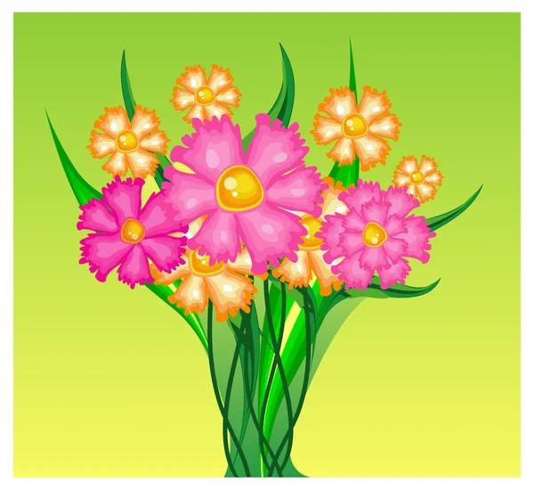 Bouquet of carnations — Stock Vector