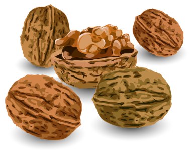 Nuts clipart