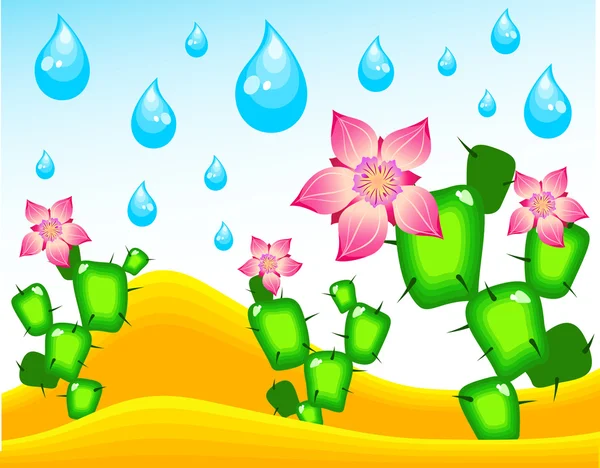 Kaktusy kwitnących w deszczu — Wektor stockowy
