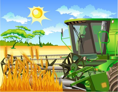 Field of wheat and combine clipart