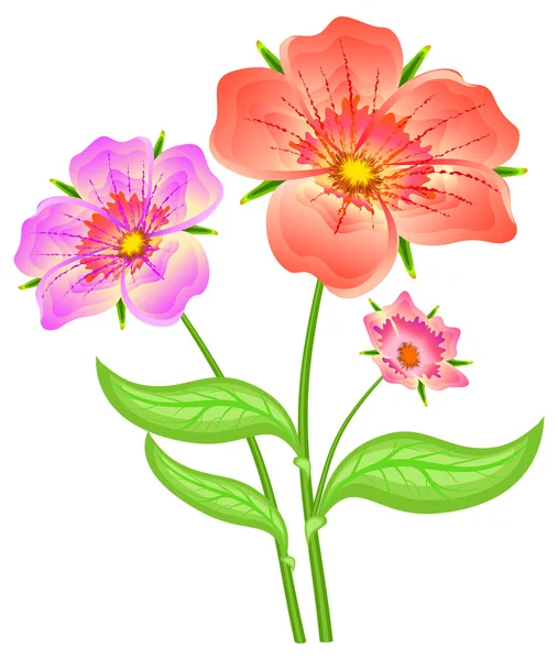 Spring red flowers — Stock Vector