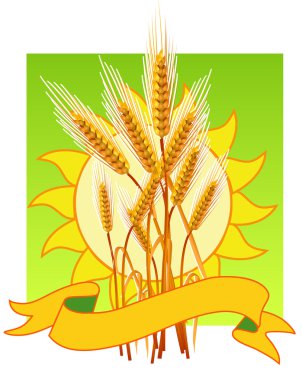 Ears of wheat clipart