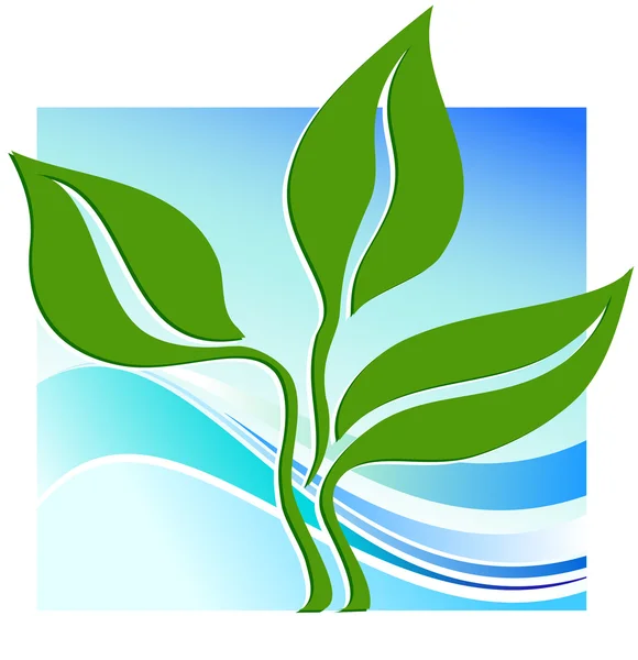 Πράσινο φυτό — Διανυσματικό Αρχείο