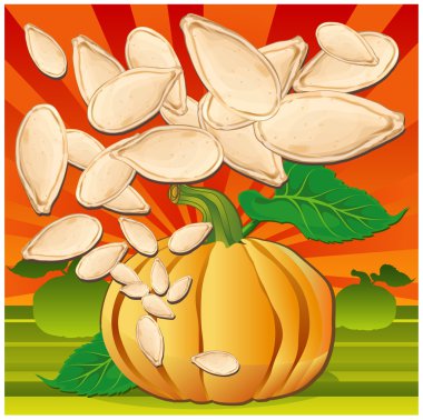 Pumpkin with leaves clipart