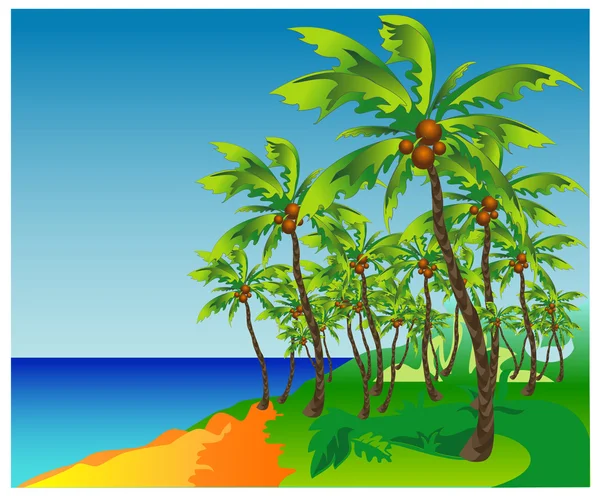 Palm beach — Stock Vector