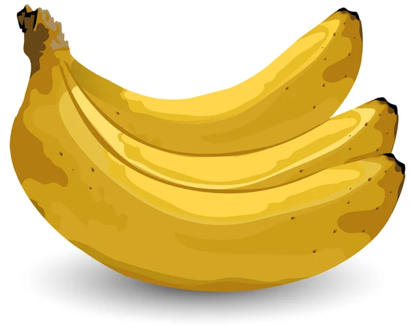 Bananas — Vetor de Stock