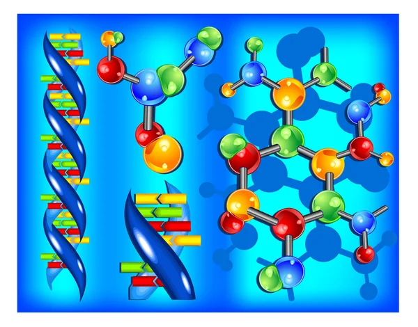 Molécula de ADN —  Vetores de Stock