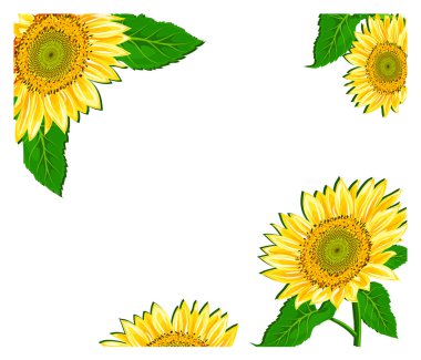 Sunflower framework clipart