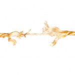 Frayed rope isolated Stock Photo by ©ozaiachinn 13530880