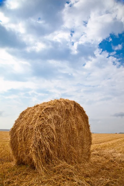 风景与捆捆的稻草 — 图库照片